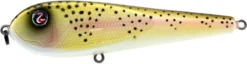 River2Sea ICBM 120 Hard Stickbait/Glidebait 14 River2Sea ICBM 120 Hard Stickbait/Glidebait -Fishing Equipment 01LiteTrout 73901c30 abdc 4da8 9afc 3d6fba96080a