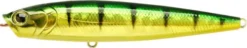 Lucky Craft Gunfish 115 Topwater Walker/Popper 16 Lucky Craft Gunfish 115 Topwater Walker/Popper -Fishing Equipment 12603014250551