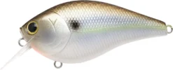 Lucky Craft LC 2.5 Shallow Squarebill Crankbait 26 Lucky Craft LC 2.5 Shallow Squarebill Crankbait -Fishing Equipment 12607085903927