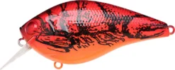 Lucky Craft LC 2.5 Shallow Squarebill Crankbait 31 Lucky Craft LC 2.5 Shallow Squarebill Crankbait -Fishing Equipment 12607086100535