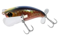 Jackall Pompadour Jr. Topwater Lure -Fishing Equipment 12984638111799