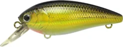 Lucky Craft Moonsault CB-100 Shallow Diving Crankbait -Fishing Equipment 13025143160887