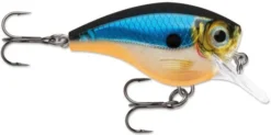 Rapala BX Big Brat 2 3/4 Inch Square Bill Crankbait -Fishing Equipment 31321538363481