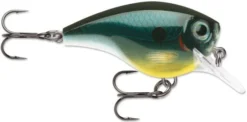 Rapala BX Big Brat 2 3/4 Inch Square Bill Crankbait -Fishing Equipment 31321538429017