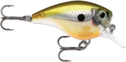 Rapala BX Big Brat 2 3/4 Inch Square Bill Crankbait -Fishing Equipment 31321538560089