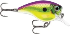 Rapala BX Big Brat 2 3/4 Inch Square Bill Crankbait -Fishing Equipment 31321538723929