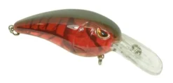 SPRO Mike McClelland RkCrawler 50 Medium Diving Crankbait -Fishing Equipment 31420391424089