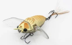 Chasebaits Ripple Cicada 1 3/4 Inch Wakebait Crawler -Fishing Equipment 32233146843225