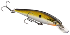 Strike King KVD 100 Series Suspending Shallow Jerkbait -Fishing Equipment 32272586539097