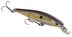 Strike King KVD 100 Series Suspending Shallow Jerkbait -Fishing Equipment 32272586604633