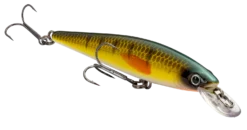 Strike King KVD 100 Series Suspending Shallow Jerkbait -Fishing Equipment 32272586637401