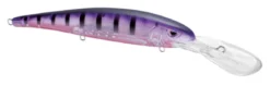 SPRO MadEye Minnow 120 Deep Diving Walleye Trolling Lure 24 SPRO MadEye Minnow 120 Deep Diving Walleye Trolling Lure -Fishing Equipment 32339518750809