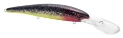 SPRO MadEye Minnow 120 Deep Diving Walleye Trolling Lure 29 SPRO MadEye Minnow 120 Deep Diving Walleye Trolling Lure -Fishing Equipment 32339518914649