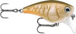 Rapala BX Mid-Brat 05 Squarebill Crankbait -Fishing Equipment 39740178104409 scaled