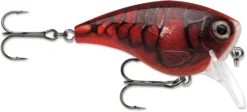 Rapala BX Mid-Brat 05 Squarebill Crankbait -Fishing Equipment 39740178235481 scaled