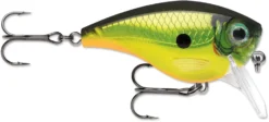 Rapala BX Mid-Brat 05 Squarebill Crankbait -Fishing Equipment 39740178301017 scaled