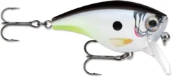 Rapala BX Mid-Brat 05 Squarebill Crankbait -Fishing Equipment 39740178333785 scaled