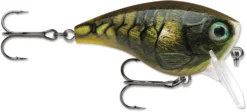 Rapala BX Mid-Brat 05 Squarebill Crankbait -Fishing Equipment 39740178366553 scaled