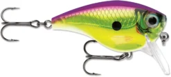 Rapala BX Mid-Brat 05 Squarebill Crankbait -Fishing Equipment 39740178432089 scaled