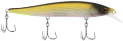 Berkley Stunna Jerkbait -Fishing Equipment 39765505081433