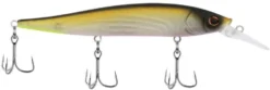 Berkley Stunna Jerkbait -Fishing Equipment 39765505114201
