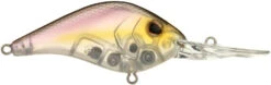 Berkley Dredger Deep Diving Crankbait -Fishing Equipment 40324994269273