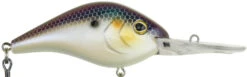 Berkley Dredger Deep Diving Crankbait Deeper Diving Models 29 Berkley Dredger Deep Diving Crankbait Deeper Diving Models -Fishing Equipment 40325002952793