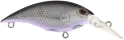 Berkley Money Badger Trolling Plug / Crankbait 25 Berkley Money Badger Trolling Plug / Crankbait -Fishing Equipment 40326907232345