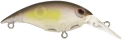 Berkley Money Badger Trolling Plug / Crankbait 36 Berkley Money Badger Trolling Plug / Crankbait -Fishing Equipment 40326907592793