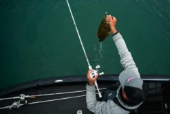 Abu Garcia Veritas Winch Baitcasting Rod -Fishing Equipment ABU CASTING ROD VERITAS PLX WINCH LIFESTYLE 2021 005