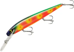 Smithwick Top 20 Rogue 5 1/2 Inch Extra Deep Diving Trolling Minnow/Jerkbait 18 Smithwick Top 20 Rogue 5 1/2 Inch Extra Deep Diving Trolling Minnow/Jerkbait -Fishing Equipment ADRD5296