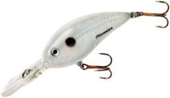 Bomber Fat Free Shad Fingerling 2 3/8 Inch Medium Diving Crankbait -Fishing Equipment BD5FDPW 5ef3ebae bb65 49d5 85d4 9fba2853d3c2
