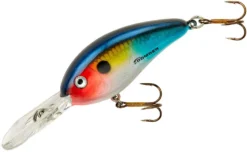Bomber Fat Free Shad Fingerling 2 3/8 Inch Medium Diving Crankbait -Fishing Equipment BD5FDTFS d704ed97 311b 4dde 8f72 04e5052dd1a3