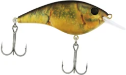 Berkley Frittside Shallow Diving Flat Sided Crankbait 31 Berkley Frittside Shallow Diving Flat Sided Crankbait -Fishing Equipment Berkley Frittside HDGreenCraw 5Biggun alt2 2000