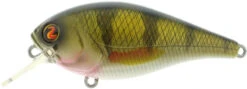 River2Sea Biggie Poppa Bumpin' Rattle Fast Squarebill -Fishing Equipment Biggie09RealPerch