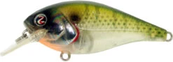 River2Sea Biggie Poppa Bumpin' Rattle Fast Squarebill -Fishing Equipment Biggie28Bluegill