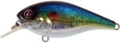 River2Sea Biggie Poppa Bumpin' Rattle Fast Squarebill -Fishing Equipment Biggie39HorizonShad