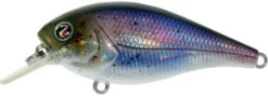 River2Sea Biggie Poppa Bumpin' Rattle Fast Squarebill -Fishing Equipment Biggie41HickoryShad