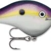 Rapala DT Series Crankbait DT16