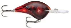 Rapala DT Series Crankbait DT16 -Fishing Equipment Delta 7be31b40 92ea 4270 b3f6 16308e821031