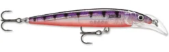 Rapala Scatter Rap Deep Husky Jerk -Fishing Equipment Glass Purple Perch bfb1f09f 8c38 4f9c 83cc a54c6b7bc7b8