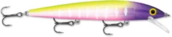 Rapala Husky Jerk 12 Jerkbait/Trolling Minnow -Fishing Equipment HJ12 14 MFT 30c50575 8d12 44fc 883c 4253fe262622