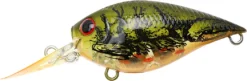 Lucky Craft LC 0.7 DR Deep Running Crankbait 11 Lucky Craft LC 0.7 DR Deep Running Crankbait -Fishing Equipment LC 0 7DR 188TOGC