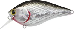 Lucky Craft LC 2.5 Shallow Squarebill Crankbait 22 Lucky Craft LC 2.5 Shallow Squarebill Crankbait -Fishing Equipment LC 2 5 419BPGSN