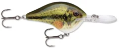 Rapala DT Series Crankbait DT14 -Fishing Equipment Live Largemouth Bass e41a2a50 910d 4609 ac40 3bc3d77b1c5d
