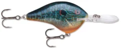 Rapala DT Series Crankbait DT14 -Fishing Equipment Live Pumkinseed 552b3c5e d89f 421f bb94 4b20f67dd065