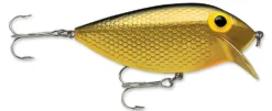 Storm Original Thinfin 08 Shallow-Medium Diving Crankbait 17 Storm Original Thinfin 08 Shallow-Medium Diving Crankbait -Fishing Equipment Metallic Gold Black bd0eb354 2ec7 4e02 9380 d461175e25e6