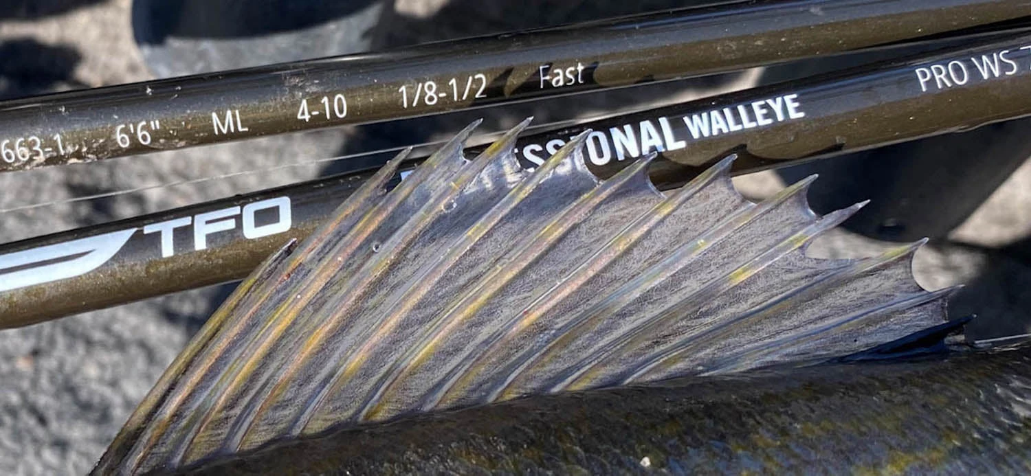 Temple Fork Outfitters Professional Walleye Trolling Rods 6 Temple Fork Outfitters Professional Walleye Trolling Rods - Image 6
