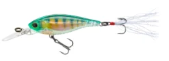 Yo-Zuri 3DB Shad Suspending 2 3/4 Inch Medium Diving Crankbait
