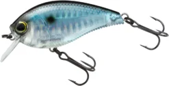 Yo-Zuri 3DB Crank 1.5 Shallow Squarebill Crankbait -Fishing Equipment R1352 PSH